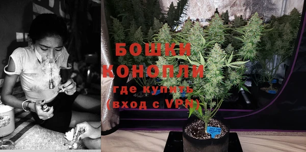 дурь Богородицк