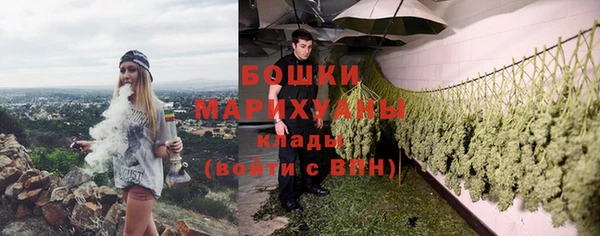 прущая мука Богородск