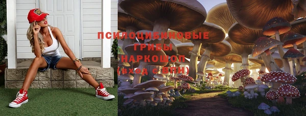 стафф Белоозёрский